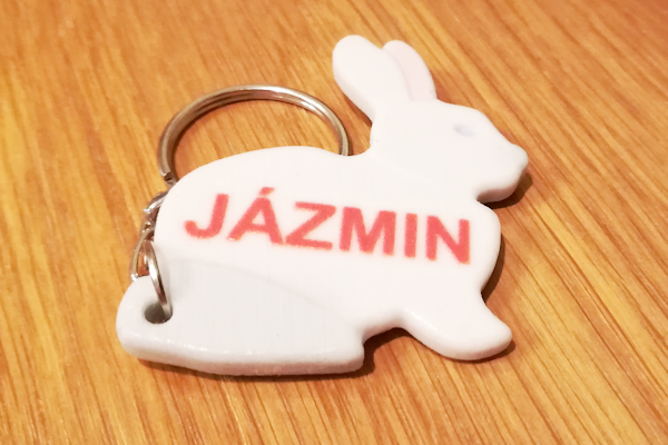 Custom 3D Printed Bunny Keychains Custom bunny key rings - 3D printed